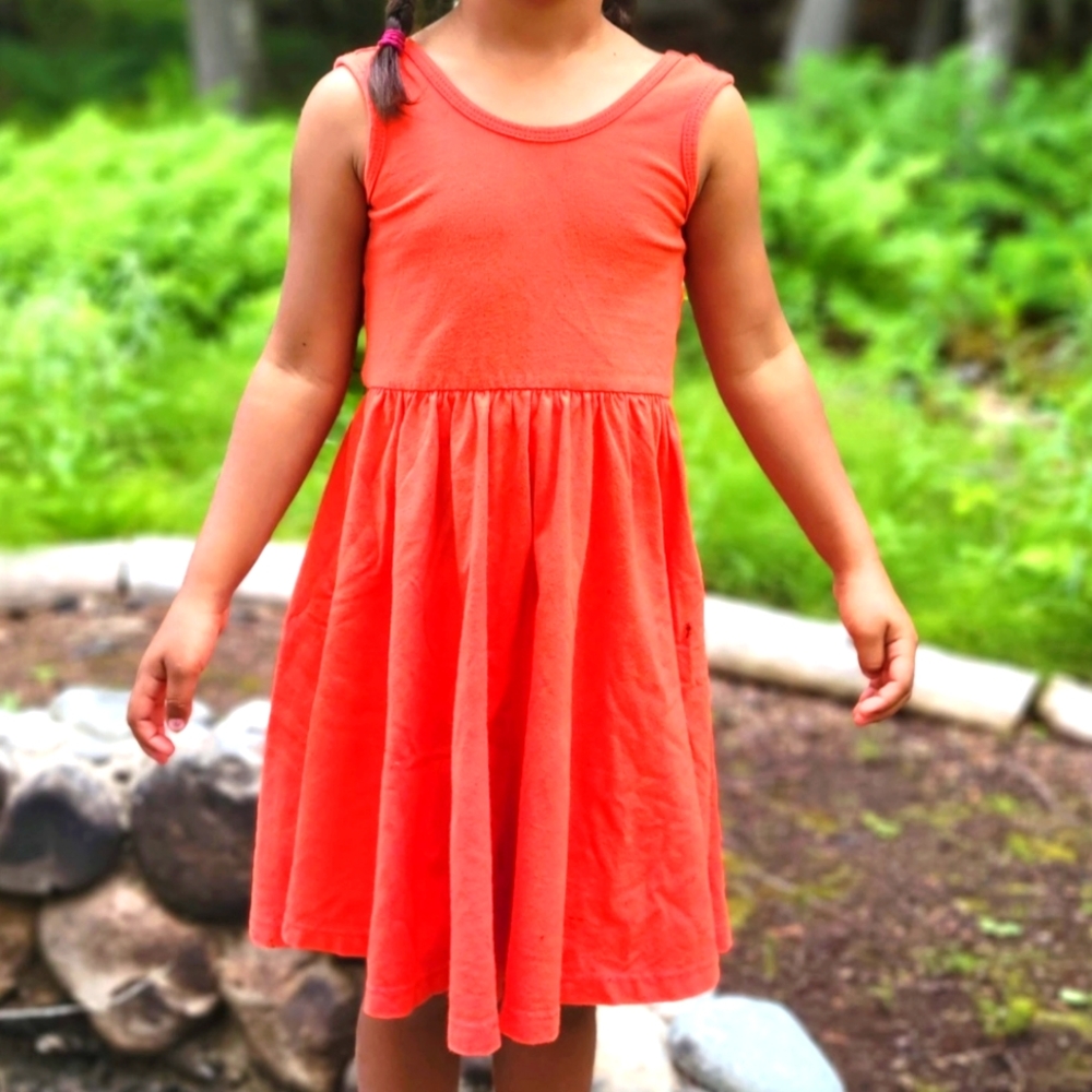 Alice + Ames twirl dress